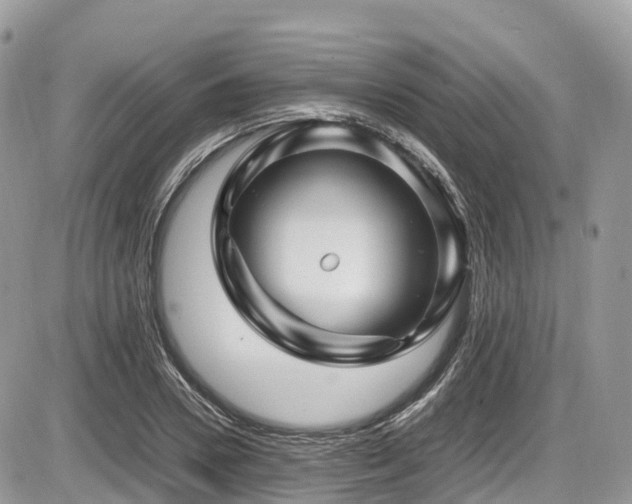 X0000087420930200704201422