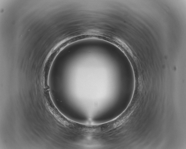 X0000087420931200704201422