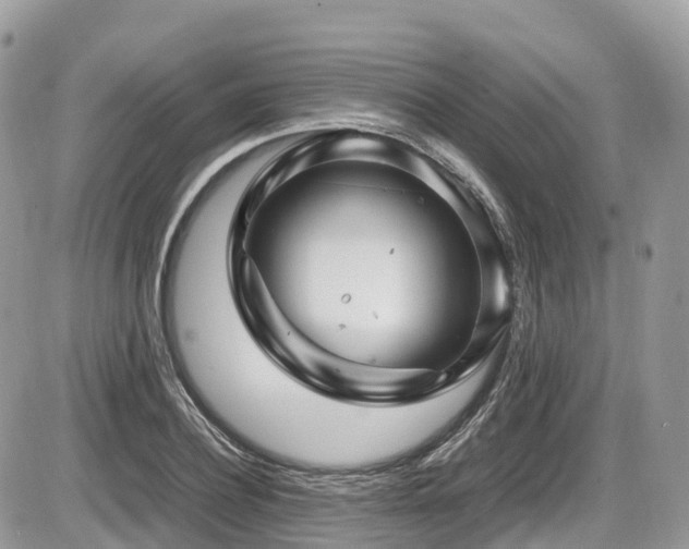 X0000087420932200704201422