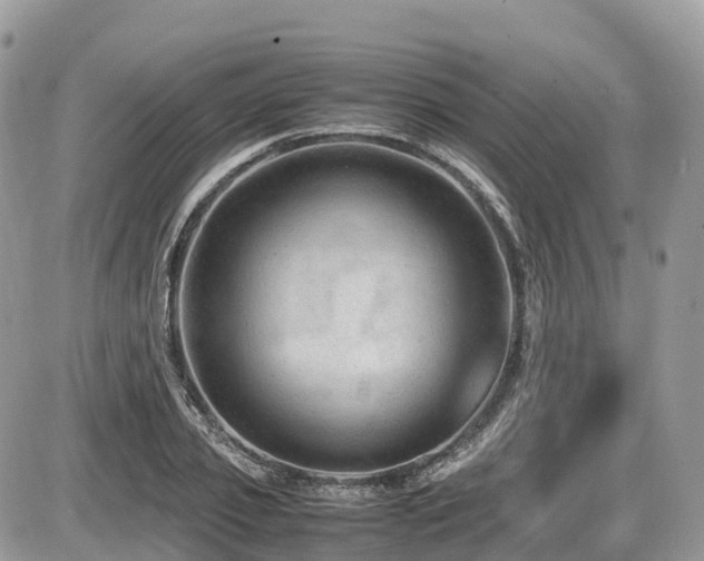 X0000087420933200704201422