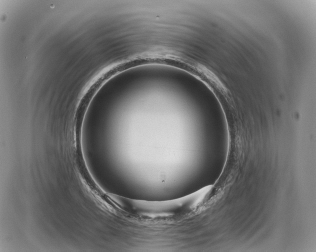 X0000087420934200704201422