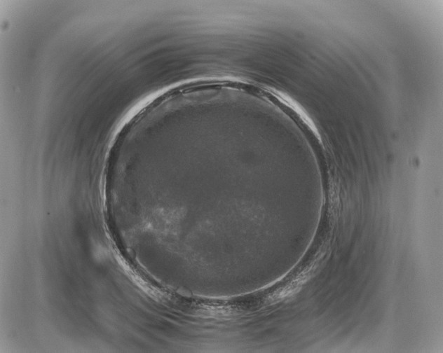 X0000087420935200704201422