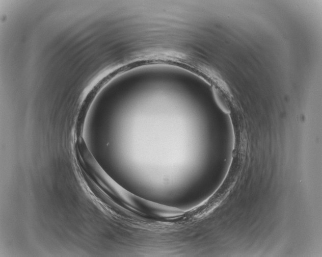 X0000087420936200704201422