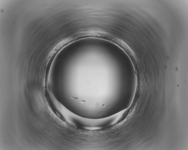 X0000087420938200704201422