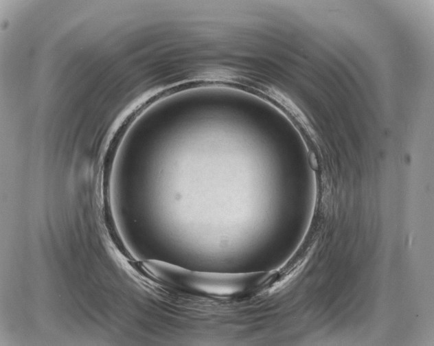 X0000087420939200704201422