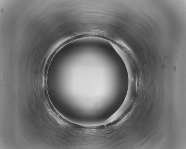 X0000087420940200704201422