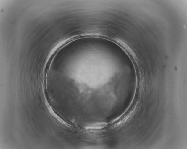 X0000087420941200704201422