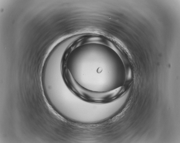 X0000087420942200704201422