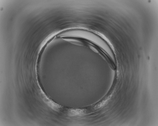 X0000087420943200704201422