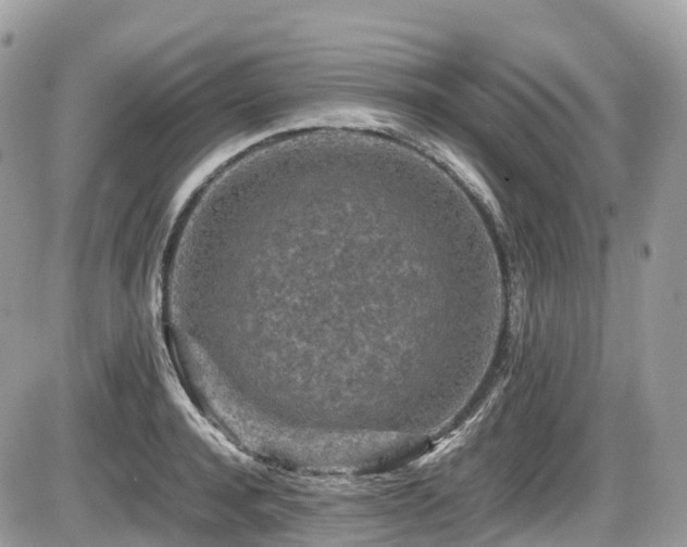 X0000087420944200704201422