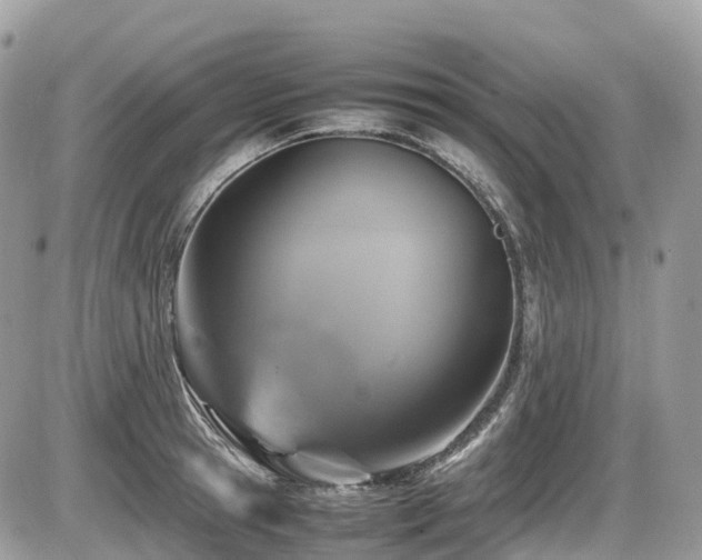 X0000087420945200704201422