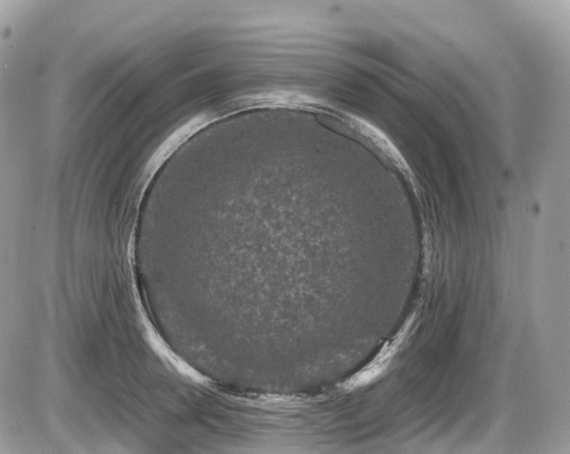 X0000087420946200704201422