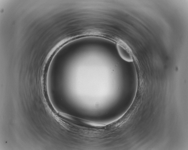 X0000087420947200704201422