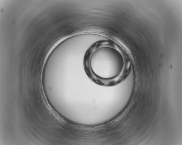 X0000087420948200704201422