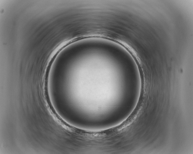 X0000087420949200704201422