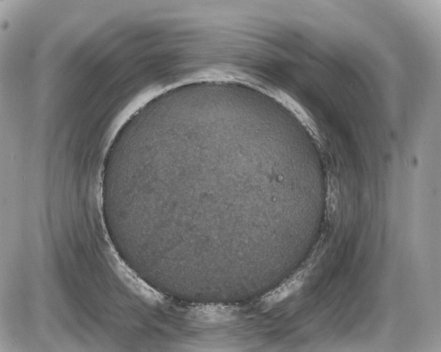 X0000087420950200704201422