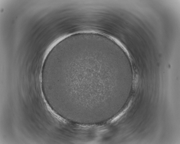 X0000087420951200704201422