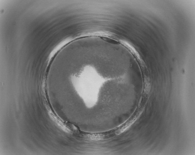 X0000087420952200704201422