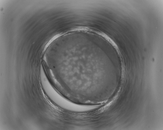 X0000087420953200704201422