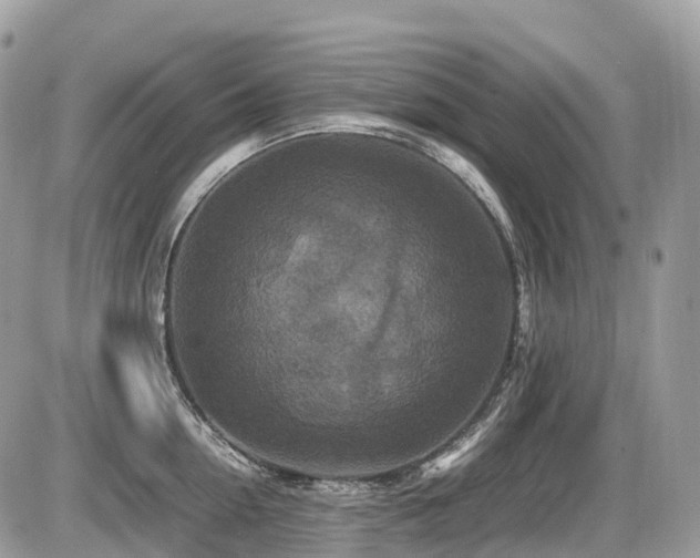 X0000087420954200704201422