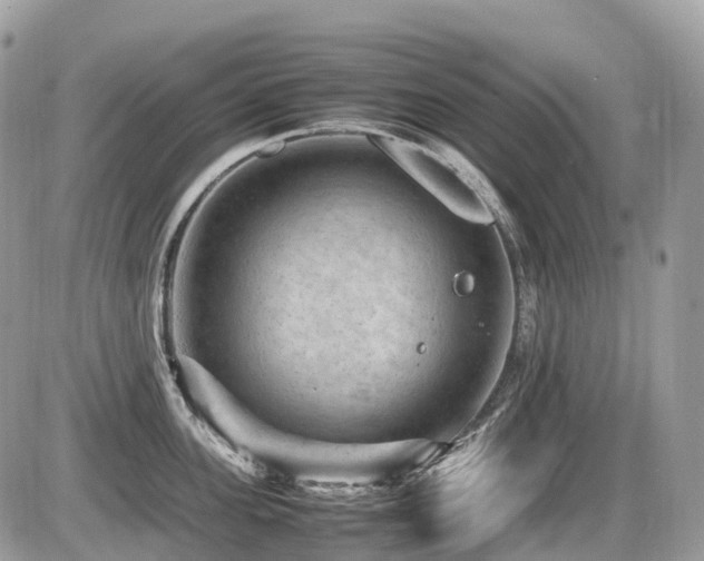 X0000087420955200704201422