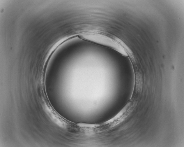 X0000087420956200704201422