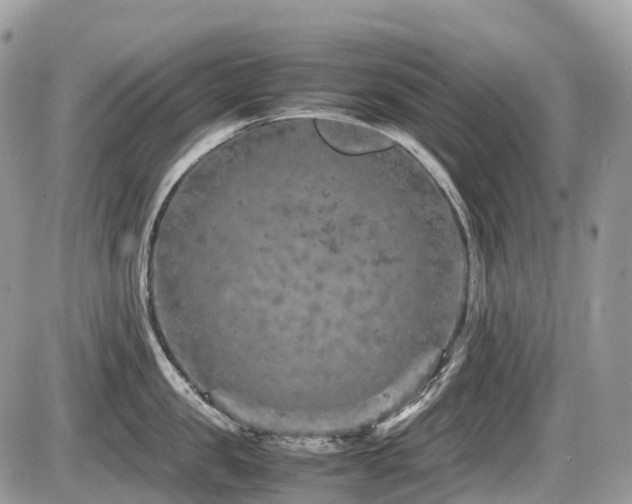 X0000087420957200704201422