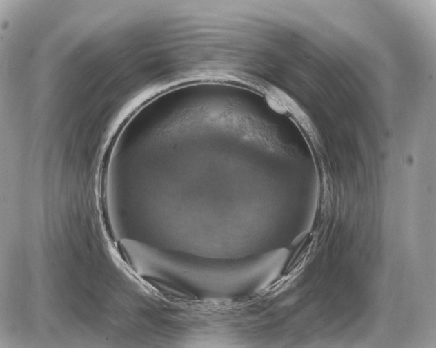 X0000087420958200704201422