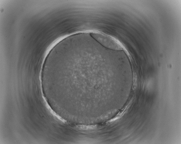 X0000087420959200704201423