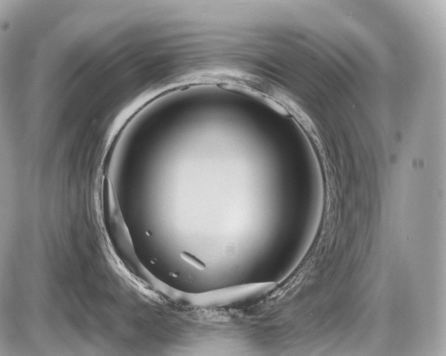 X0000087420960200704201423