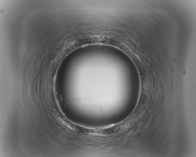 X0000087420961200704201422