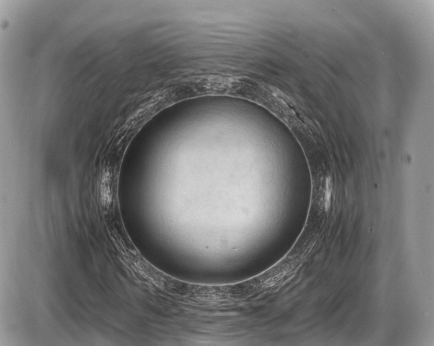 X0000087420962200704201422