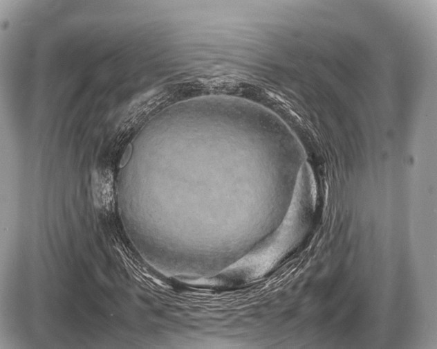 X0000087420963200704201422