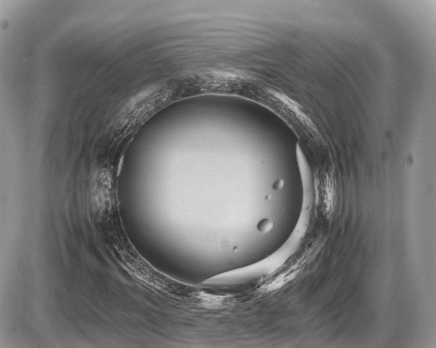 X0000087420964200704201422