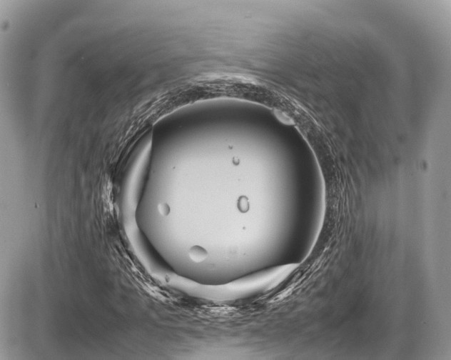 X0000087420965200704201422