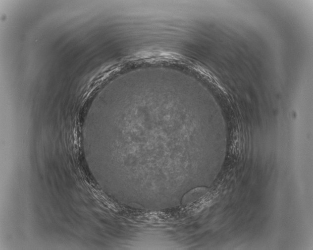 X0000087420966200704201422