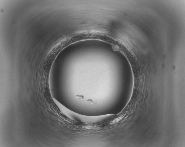 X0000087420967200704201422