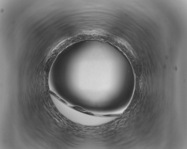 X0000087420968200704201422