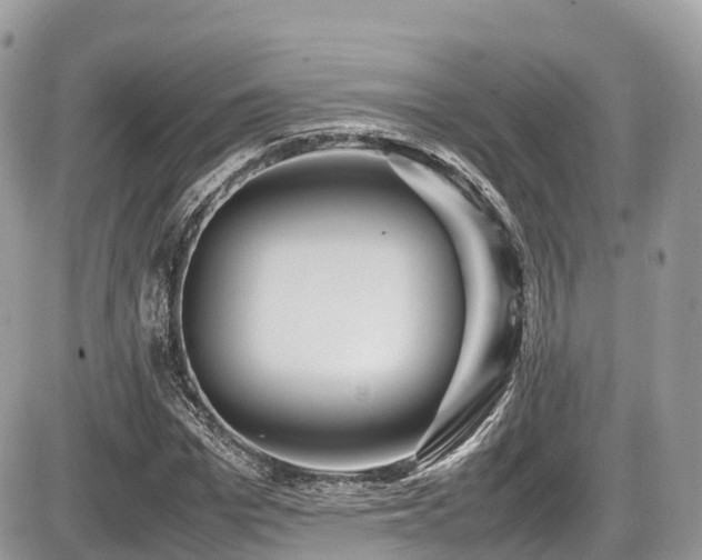 X0000087420969200704201422