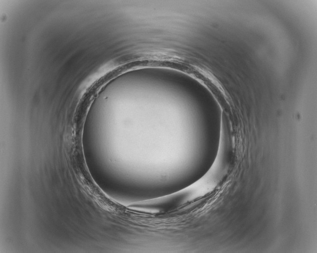 X0000087420971200704201422