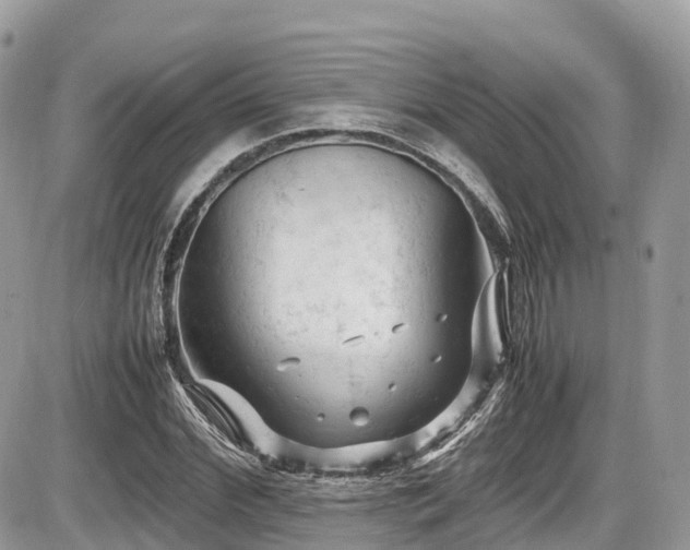 X0000087420972200704201422