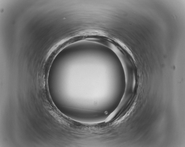 X0000087420973200704201422