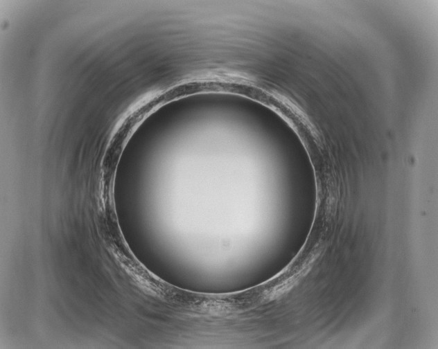 X0000087420974200704201422