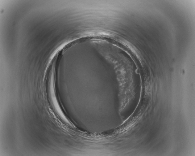 X0000087420975200704201422