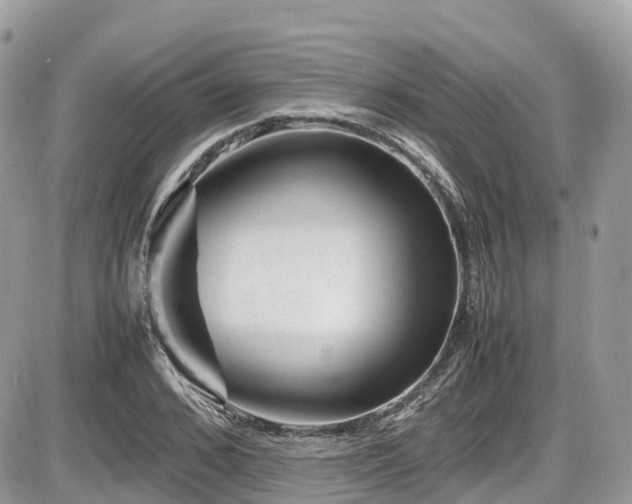 X0000087420976200704201421