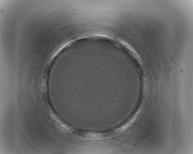 X0000087420977200704201421