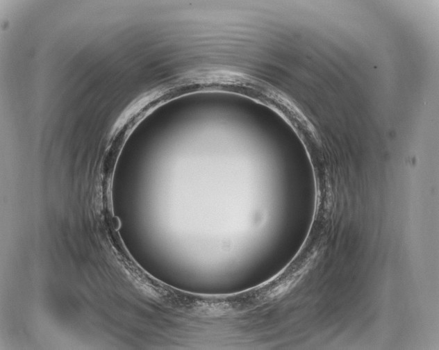 X0000087420978200704201421