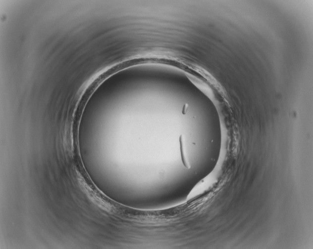 X0000087420980200704201421