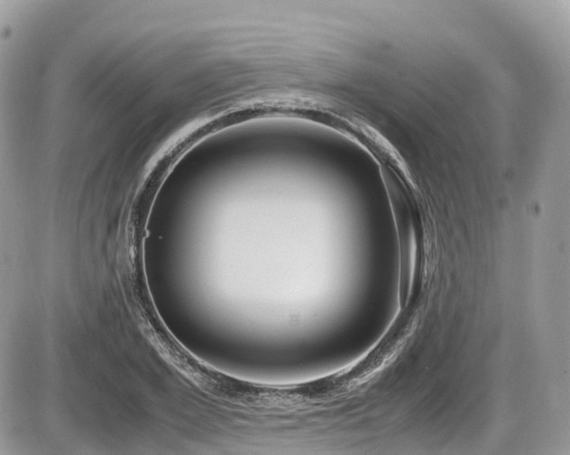 X0000087420981200704201421