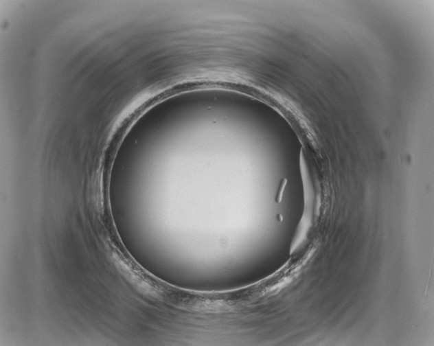 X0000087420982200704201421